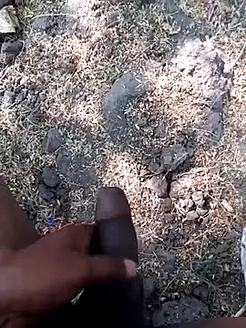 Ajith mvi online show from March 2026 09:48:01 AM