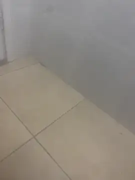 rafahpirusudo online show from March 2026 08:29:01 AM