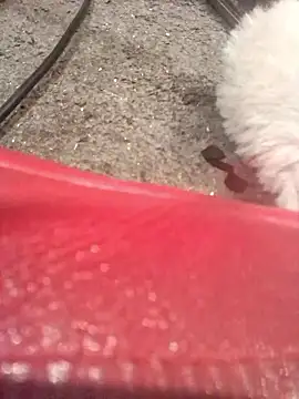 lubme online show from October 2025 08:00:02 AM