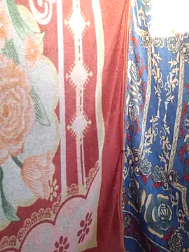 Snapshot of Burhade-- chatting on March 2026 02:15:01 AM Burhade-- online show from March 2026 02:15:01 AM