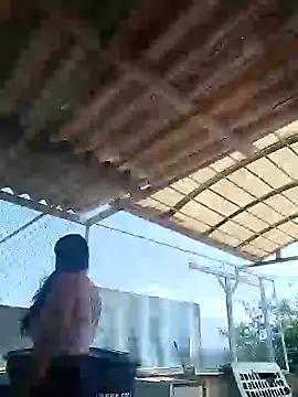 allison-dreams online show from January 2025 03:10:01 PM