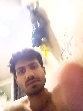 nikshows online show from October 2025 03:08:02 PM