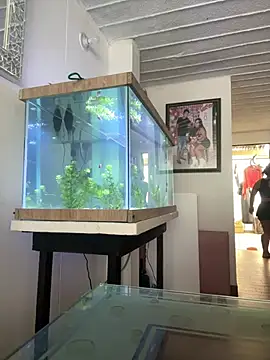 emmyjhonson07 online show from March 2026 01:23:02 PM