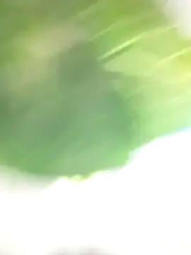 Wanda and cosmo  online show from March 2025 08:55:01 PM