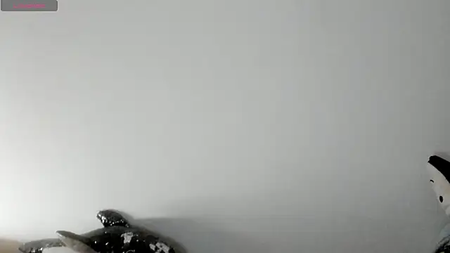 queen fetish online show from January 2026 02:30:02 PM