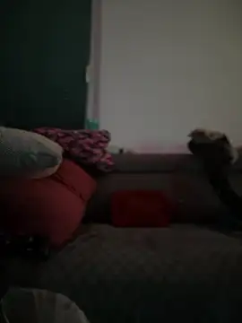 Snapshot of BigBoy420x chatting on February 2025 05:04:02 AM BigBoy420x online show from February 2025 05:04:02 AM