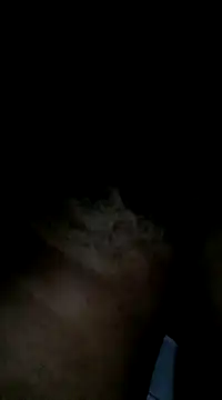 Sergipano fogozinho online show from January 2025 05:00:02 AM