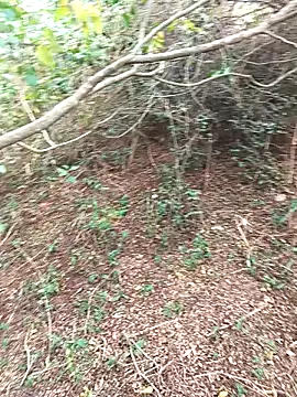 HathodaTyagi123 online show from December 2024 07:37:01 AM