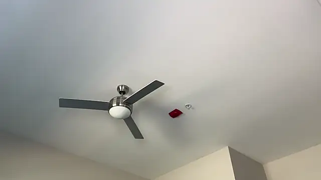 ElenaErickson online show from March 2025 08:32:02 PM