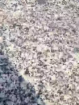 Beijing2000 online show from January 2025 12:39:02 AM