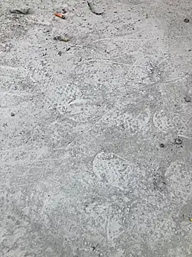 Beijing2000 online show from October 2025 02:33:01 AM