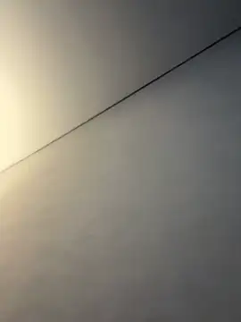 ellie ssexy online show from January 2026 05:24:02 AM