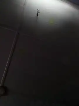 beelzebubblesxo online show from January 2026 02:42:02 PM