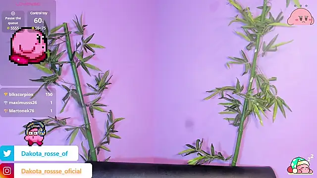 DakotaRosee online show from February 2025 05:25:01 AM