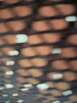 Rose-euphoria online show from November 2025 01:44:02 PM