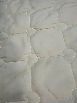 Annabody online show from November 2025 08:02:02 AM