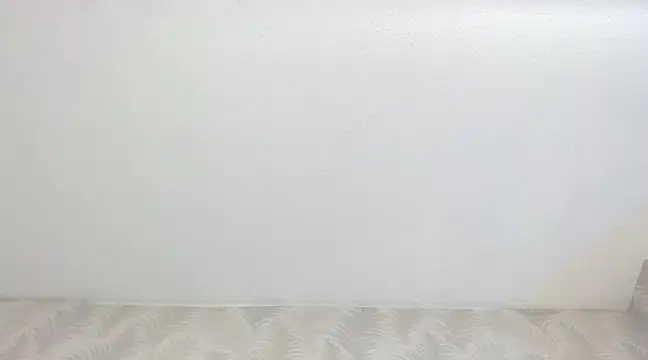 KasandraPhillips online show from February 2025 10:33:01 PM