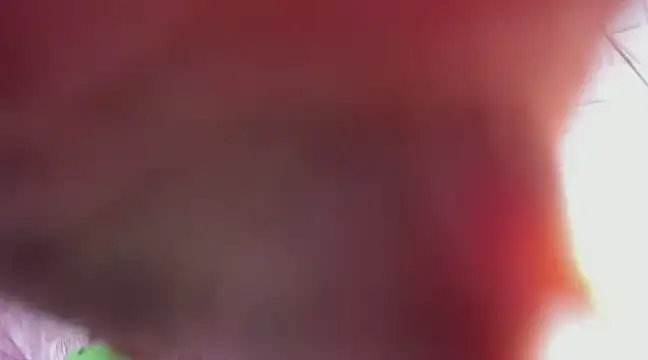 Kimmymadison- online show from March 2025 06:39:02 AM