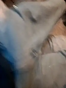 ySqmbVanbe online show from December 2025 09:43:02 PM