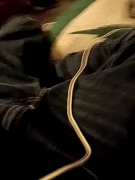 ySqmbVanbe online show from January 2026 02:14:02 AM