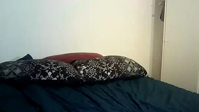 Snapshot of JunkieShitPig chatting on March 2025 08:15:02 PM JunkieShitPig online show from March 2025 08:15:02 PM