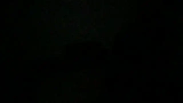 Snapshot of JunkieShitPig chatting on November 2025 08:36:02 AM JunkieShitPig online show from November 2025 08:36:02 AM