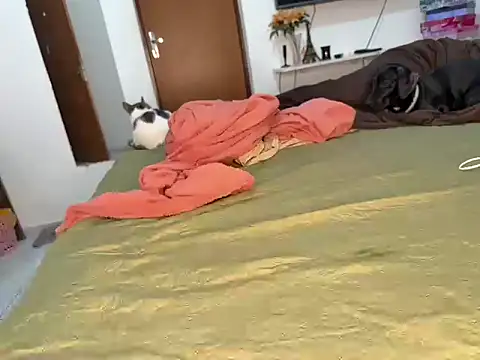 BRUALENC online show from February 2026 09:29:02 AM