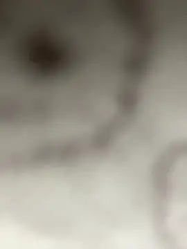 Leyna liu online show from January 2025 03:13:01 AM