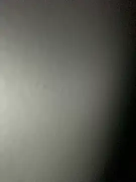 Leyna liu online show from February 2025 08:46:01 AM