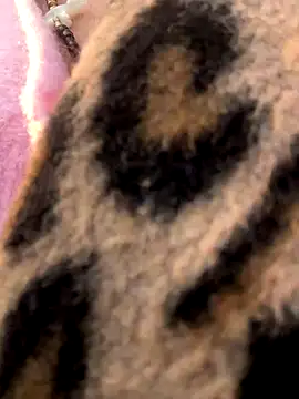 Snapshot of casalinga88 chatting on November 2025 07:19:02 AM casalinga88 online show from November 2025 07:19:02 AM