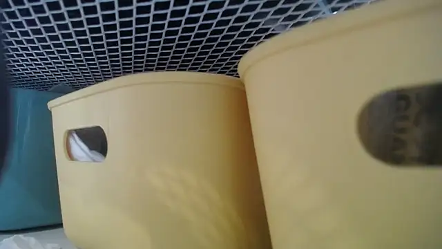 lovense test04 online show from February 2026 07:30:01 AM