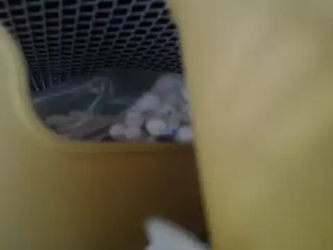 lovense test04 online show from April 2026 06:33:02 AM