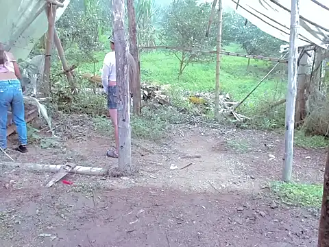 tayiro r online show from November 2025 02:13:01 PM