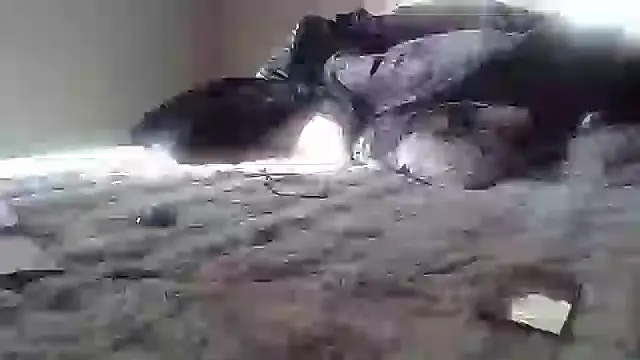 cassieleeknight11 online show from January 2025 02:39:01 PM