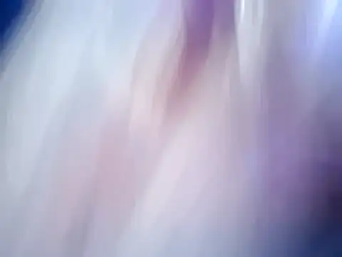 MagicAdmiralty5 online show from February 2026 09:08:01 AM