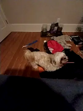 420getsmehorny online show from December 2024 02:04:01 AM