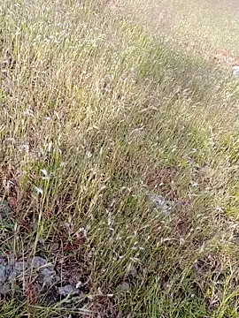 Snapshot of sexoooj chatting on October 2025 10:37:01 AM sexoooj online show from October 2025 10:37:01 AM