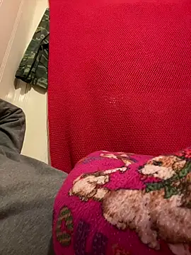 A6229 online show from February 2025 11:09:02 AM