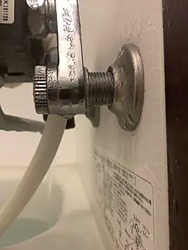 Snapshot of khjp24 chatting on March 2025 04:05:02 AM khjp24 online show from March 2025 04:05:02 AM