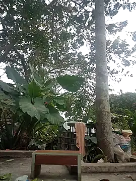 zizi public online show from December 2024 07:26:02 AM