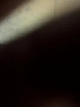 Angeloggaa online show from December 2024 12:40:02 PM