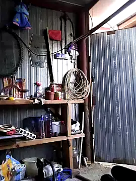 Snapshot of Sarpe84 chatting on December 2024 02:16:02 PM Sarpe84 online show from December 2024 02:16:02 PM