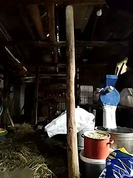 Snapshot of Sarpe84 chatting on January 2025 06:03:02 AM Sarpe84 online show from January 2025 06:03:02 AM