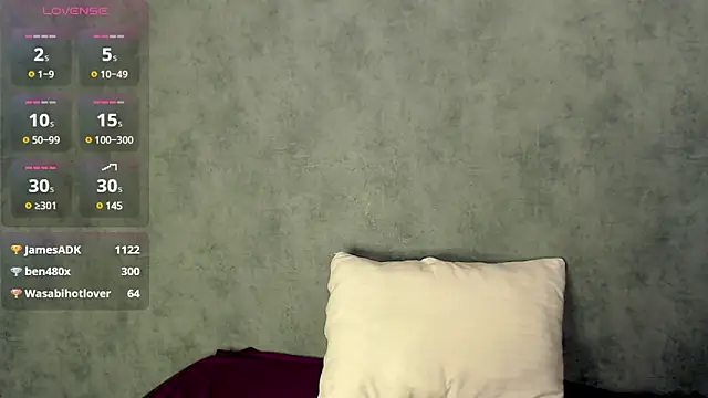 Snapshot of LizzieLight chatting on December 2024 01:36:01 AM LizzieLight online show from December 2024 01:36:01 AM