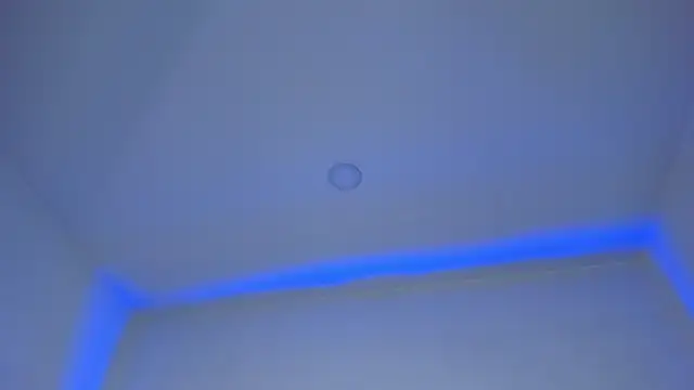 Mara Betancurt online show from December 2024 03:15:01 AM