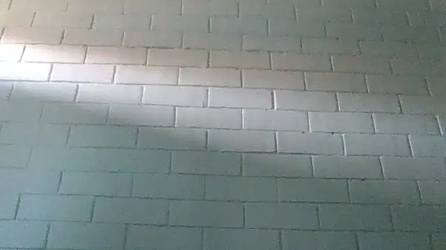 Snapshot of GiveLove1 chatting on February 2025 09:36:02 PM GiveLove1 online show from February 2025 09:36:02 PM