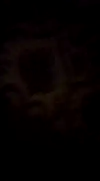 Snapshot of WreckedCrop chatting on March 2025 08:29:02 PM WreckedCrop online show from March 2025 08:29:02 PM