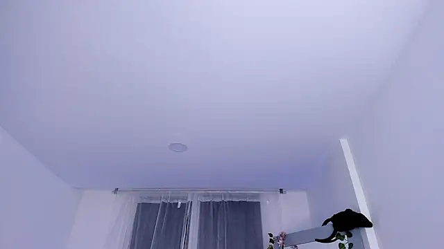  mia collins b  online show from January 2025 01:48:01 AM