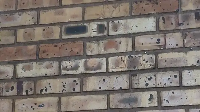 Astoria Moon online show from February 2025 07:09:01 PM