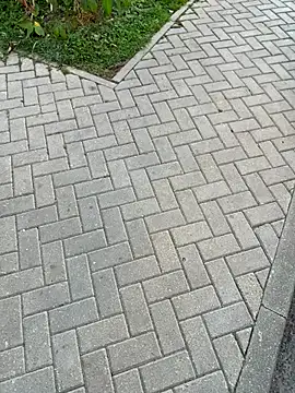 Syka0001 online show from September 2025 01:48:02 PM